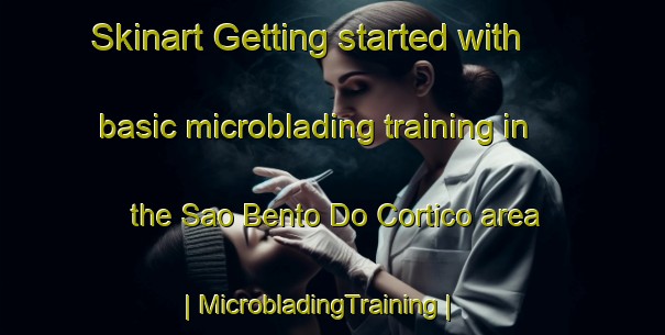 Skinart Getting started with basic microblading training in the Sao Bento Do Cortico area | MicrobladingTraining | MicrobladingClasses | SkinartTraining-Portugal